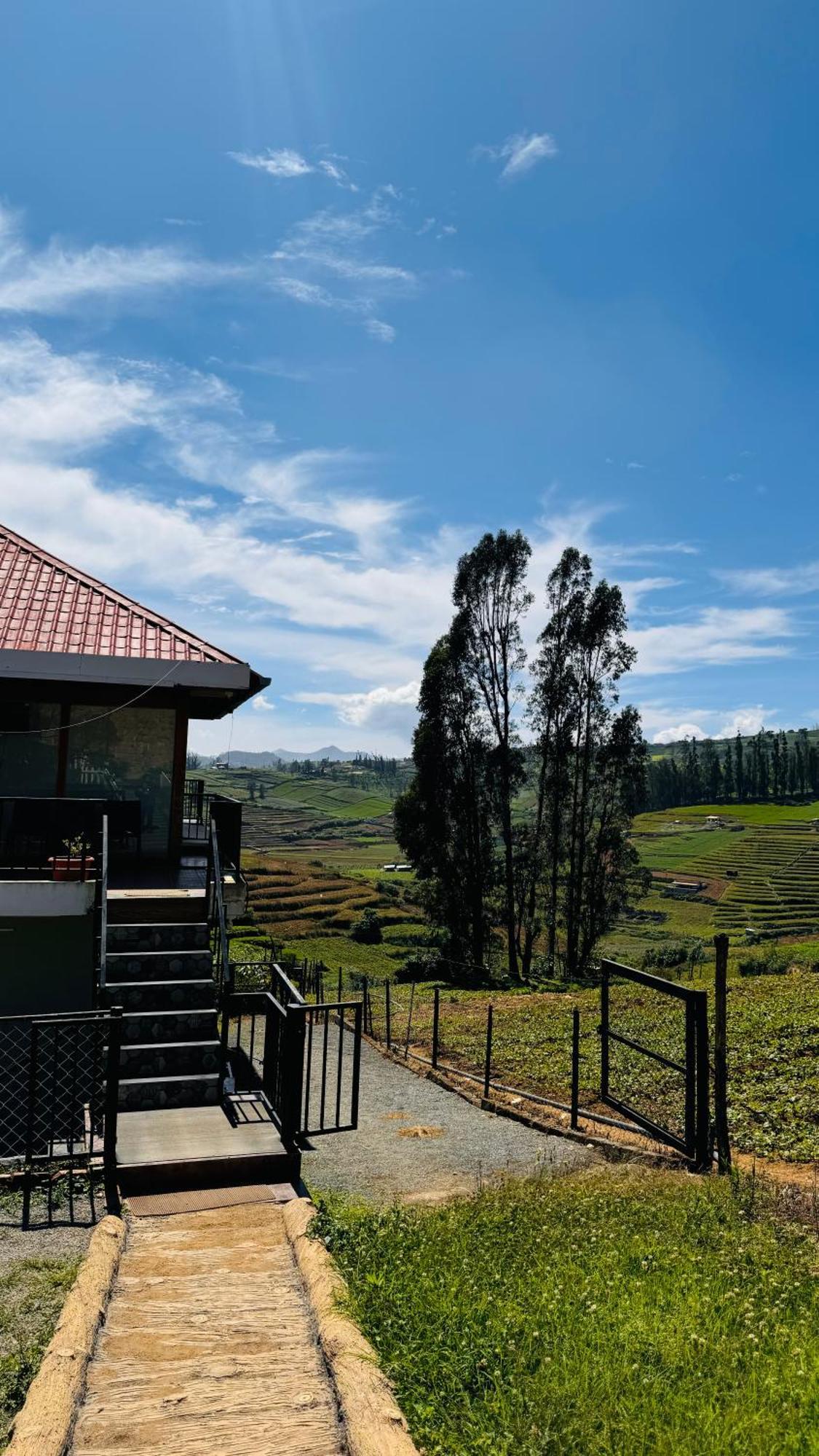 Bed and Breakfast The Wooden Springs Ooty Exterior foto