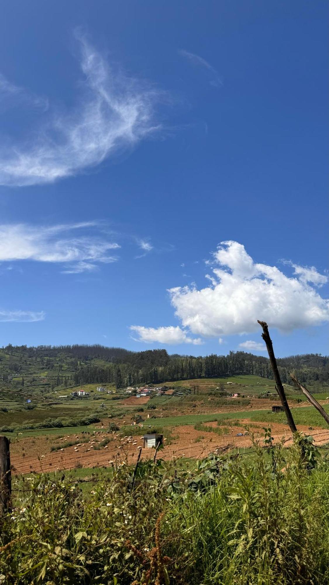 Bed and Breakfast The Wooden Springs Ooty Exterior foto